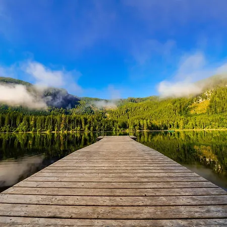 In - Steiermark 41116 *