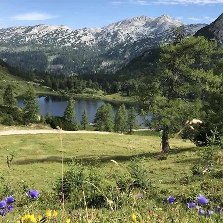 In - Steiermark 41116