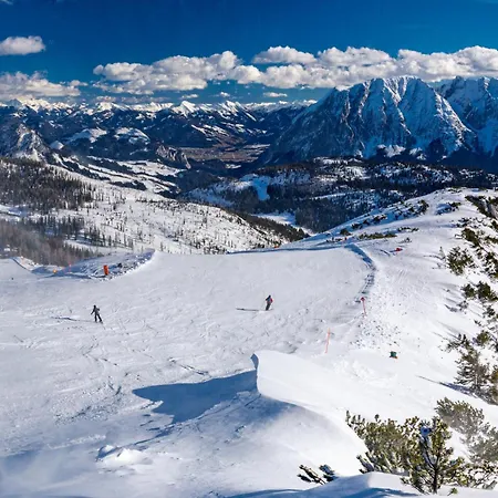 In - Steiermark 41116 *