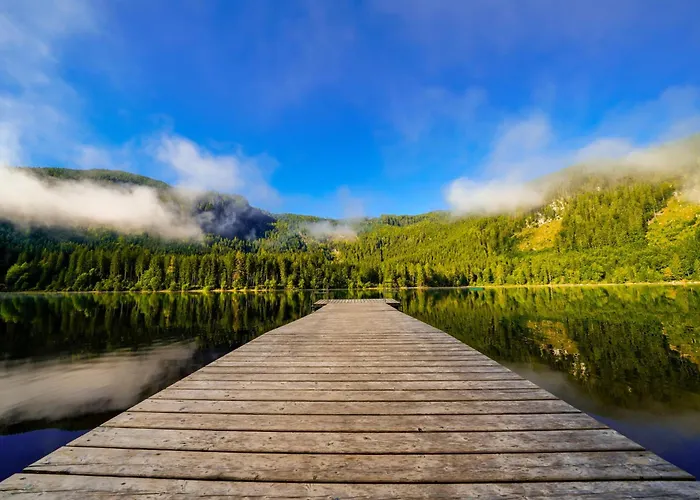 In - Steiermark 41116 *