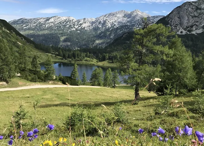 In - Steiermark 41116