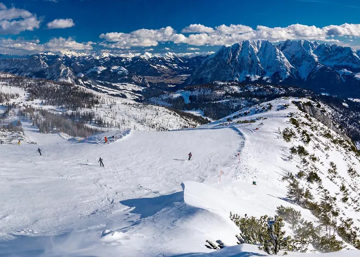 In - Steiermark 41116 *